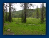 Olallie Meadow