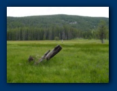 Olallie Meadow