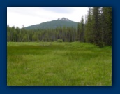 Olallie Butte
from Olallie Meadow