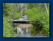 North Fork of the
Breitenbush River