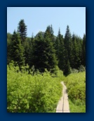 Wooden walkway
at Mirror Lake