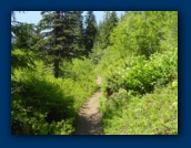 Mirror Lake Trail