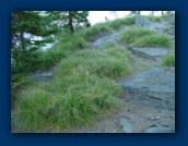 Edge of rock rim
above Raft Lake