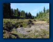 Off-trail near Park Lake