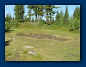 Peaceful mini-meadow
next to Russell Lake