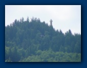 Astoria Column in background