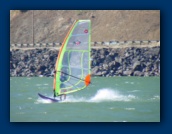 Windsurfer