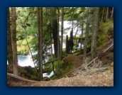 Lower Sahalie Falls