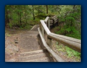 Trail at Koosah Falls