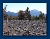 Mount Bachelor